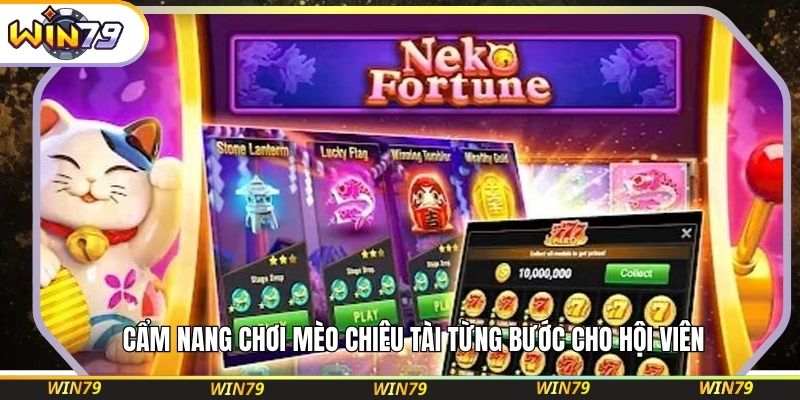 Cẩm nang chơi Mèo Chiêu Tài từng bước cho hội viên