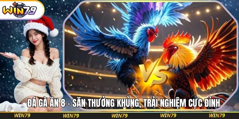 Đá Gà Ăn 8 – Săn Thưởng Khủng, Trải Nghiệm Cực Đỉnh
