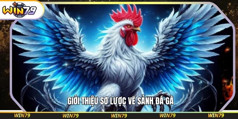 Giới thiệu sơ lược về sảnh đá gà 