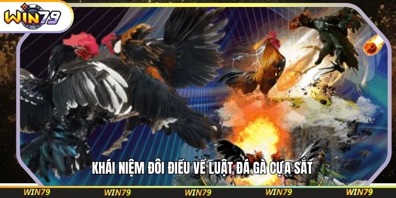 Luật Đá Gà Cựa Sắt – Nắm Chắc Để Chinh Phục Chiến Thắng