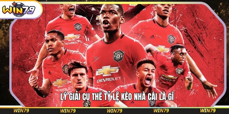 Lý giải cụ thể tỷ lệ kèo nhà cái là gì