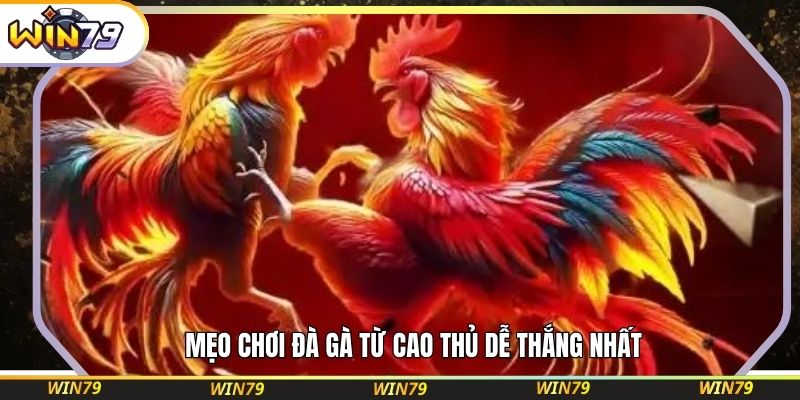 Mẹo chơi đà gà từ cao thủ dễ thắng nhất 