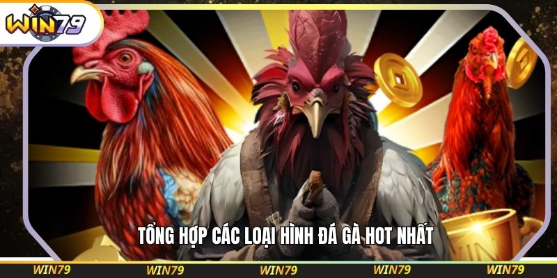 Tổng hợp các loại hình đá gà hot nhất 